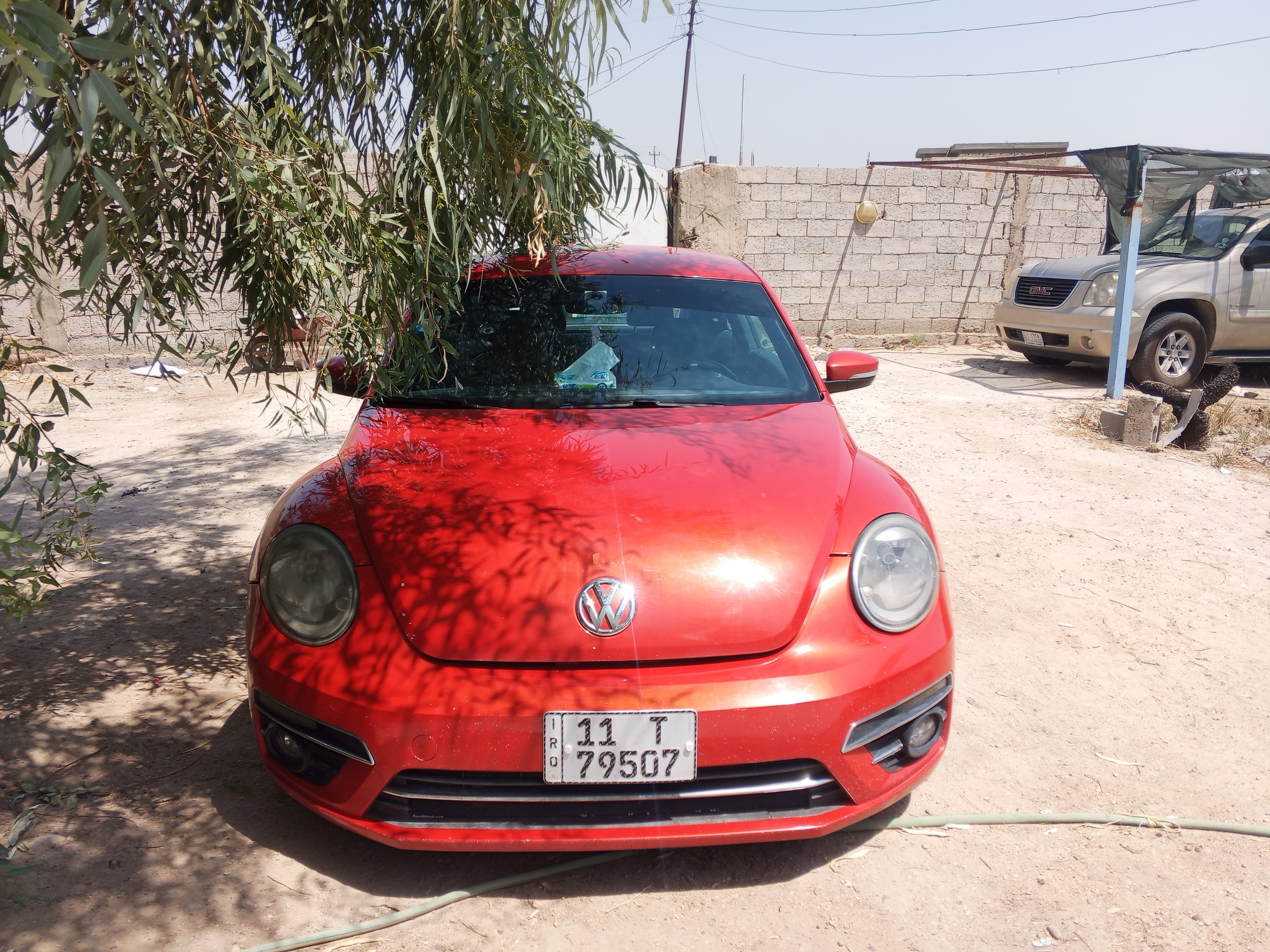 صورة 6