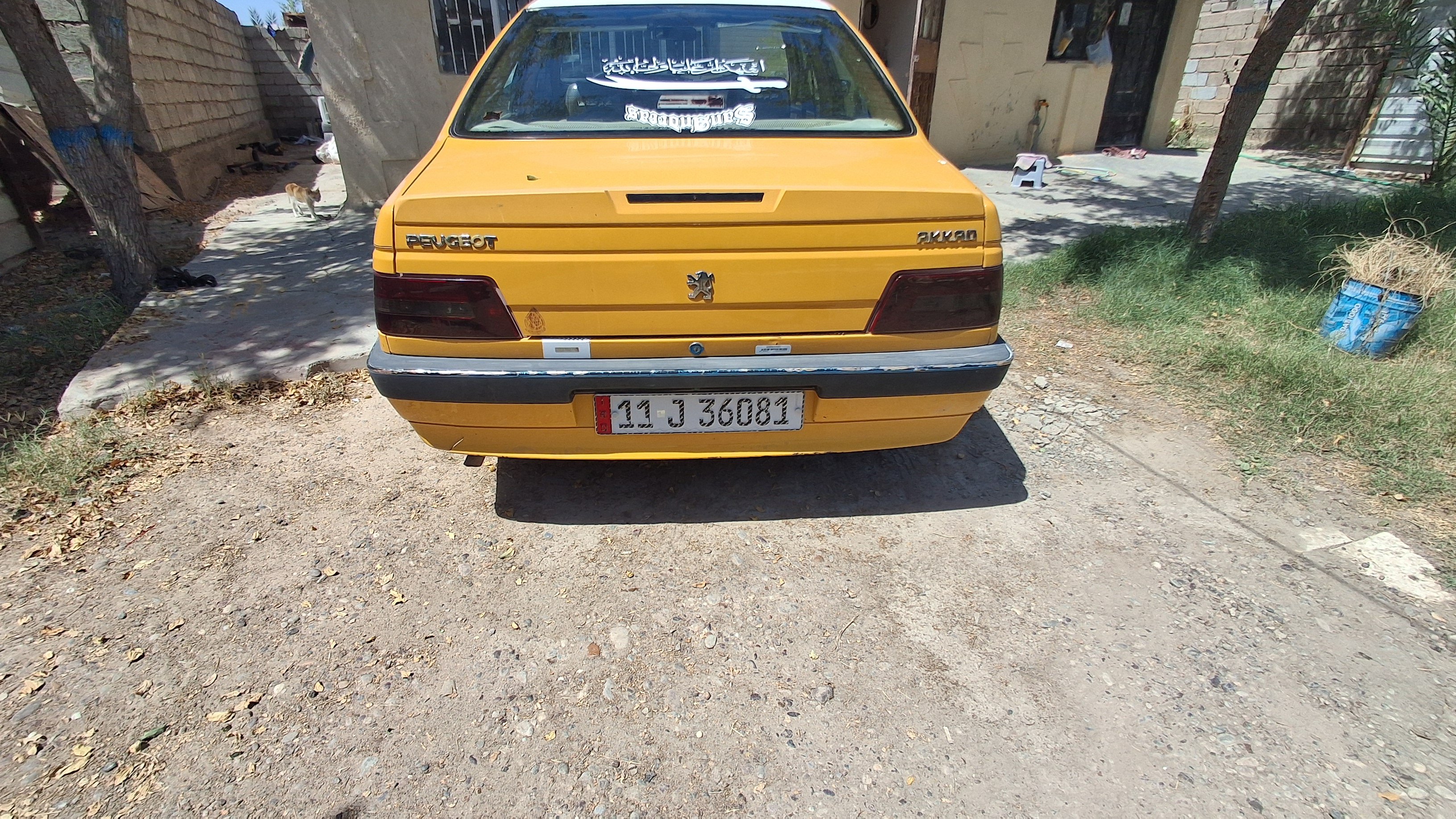 صورة 6
