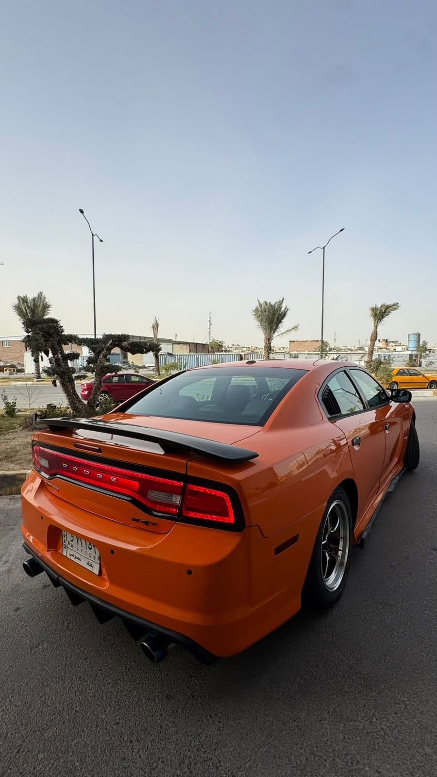 صورة 7