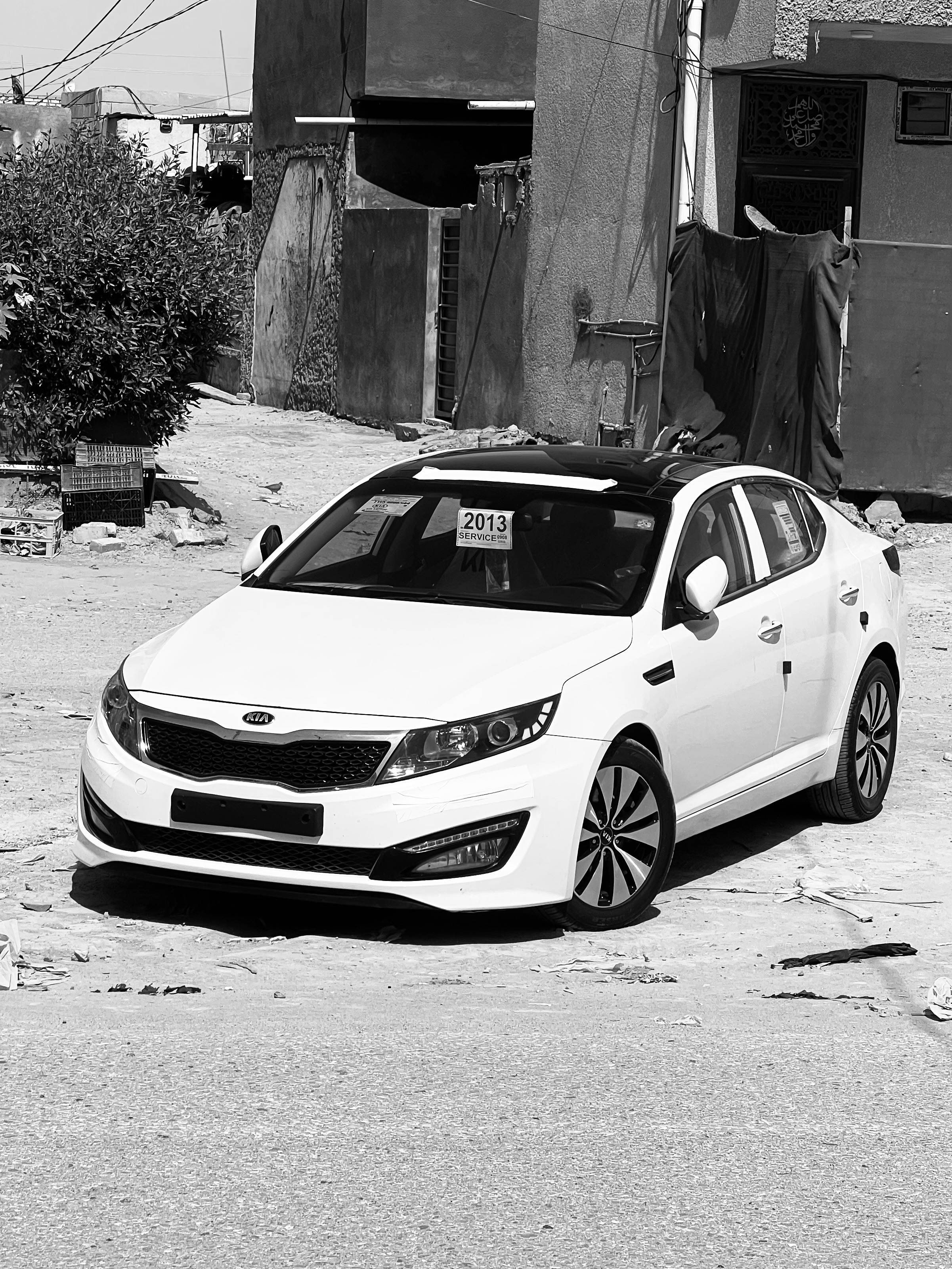 صورة 3
