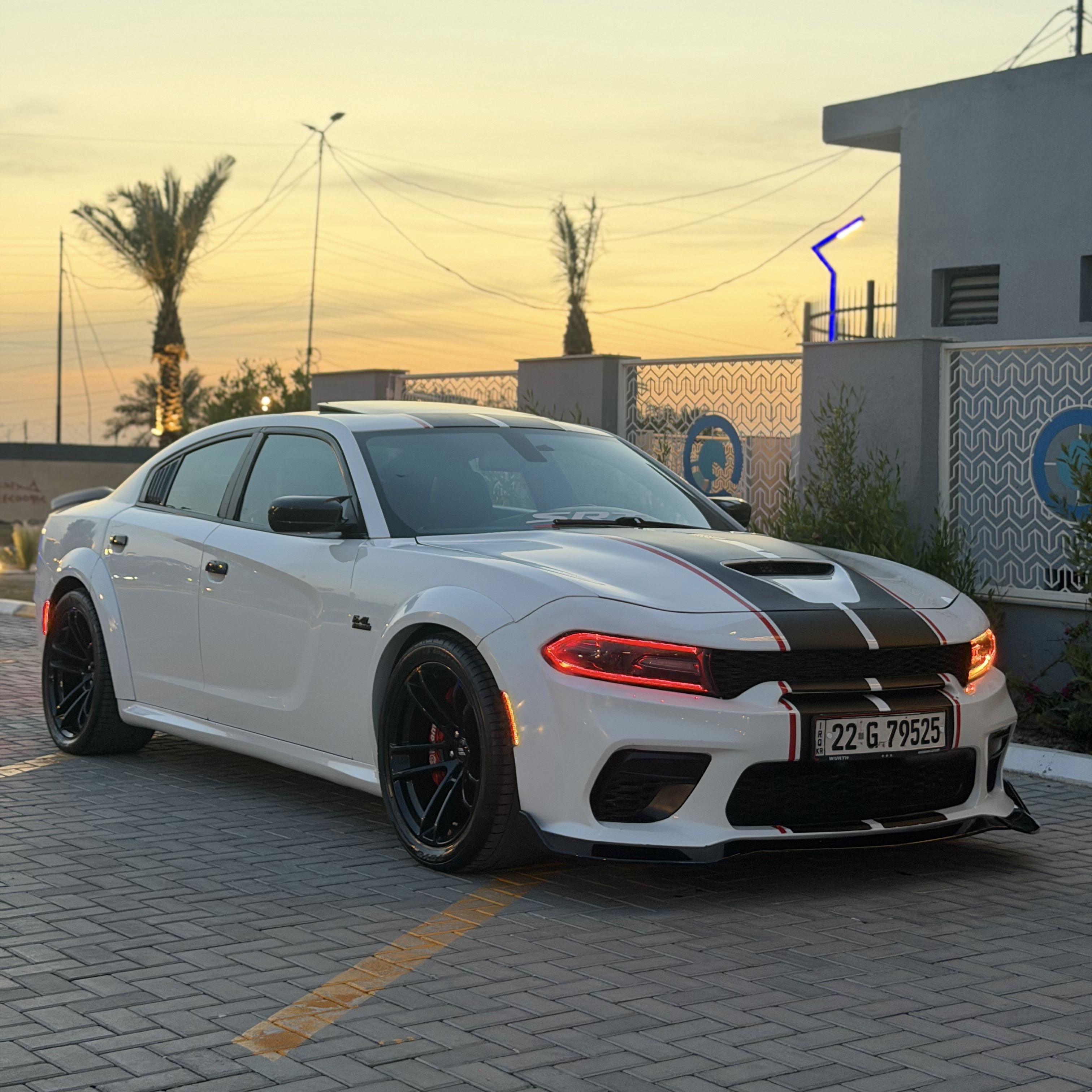 صورة 2