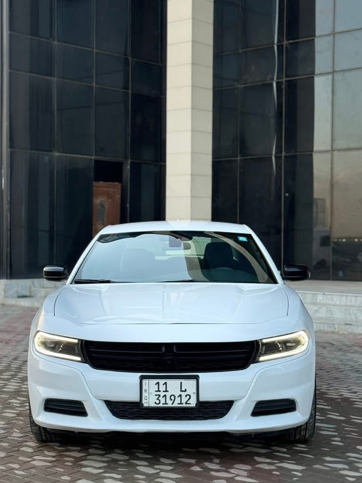 صورة 3