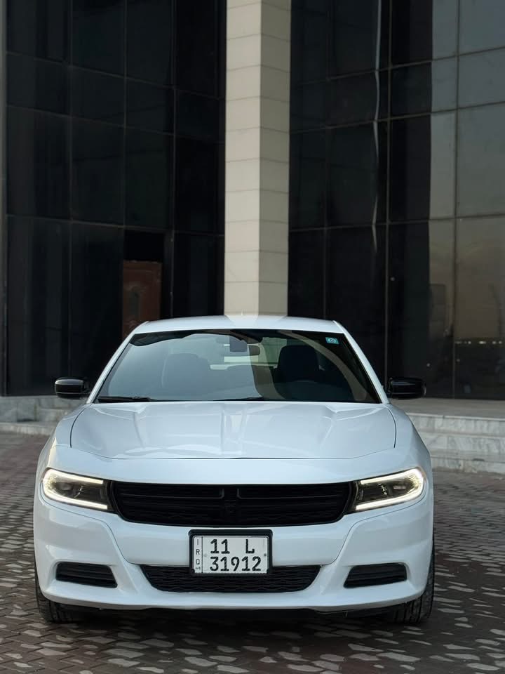 صورة 2