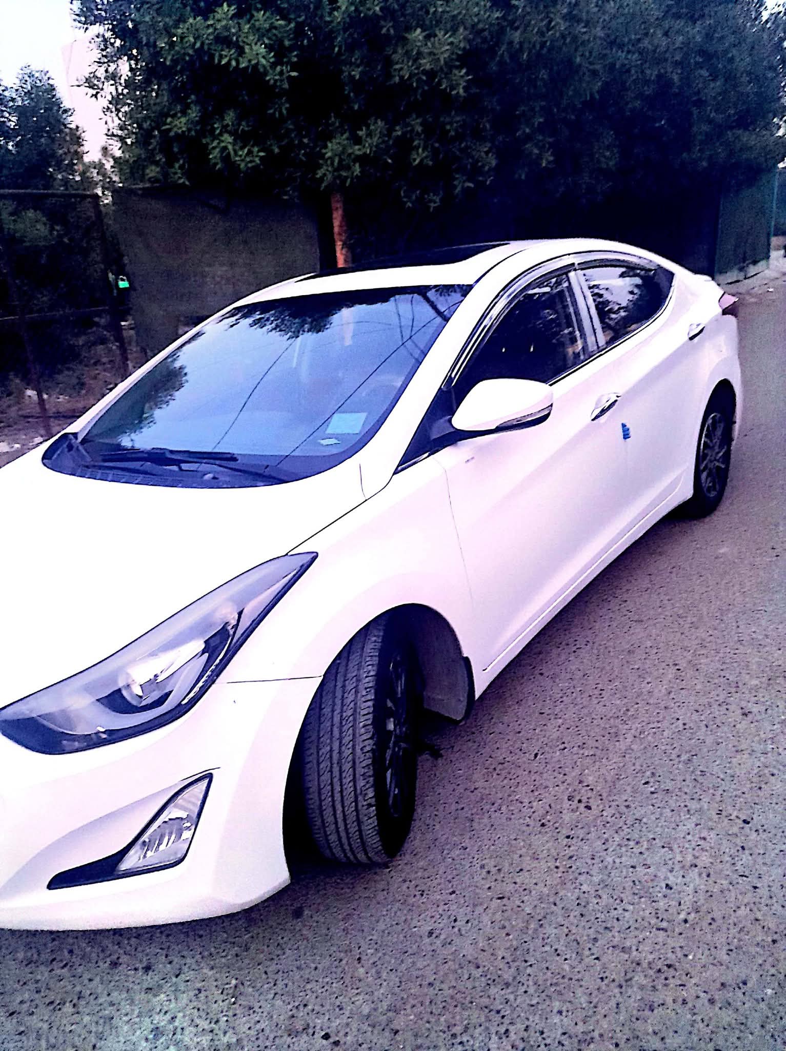 صورة 2