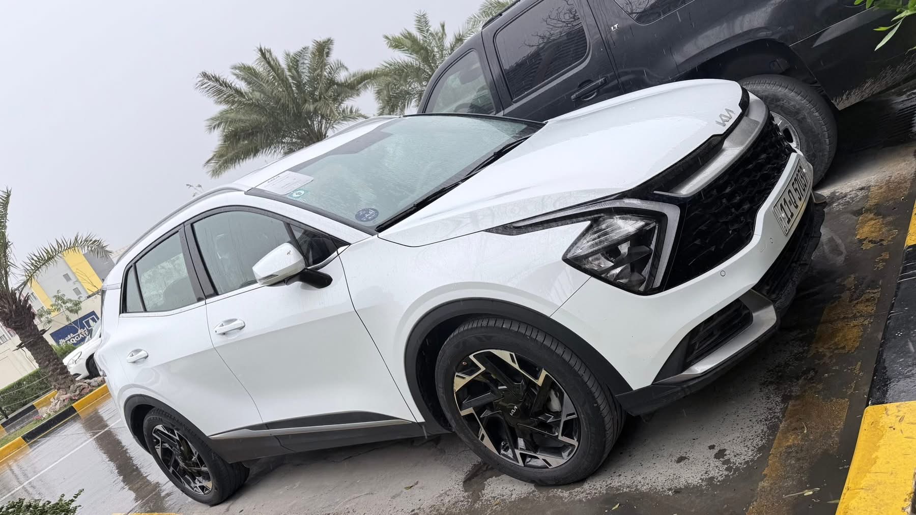 سبورتج بدون صبغ