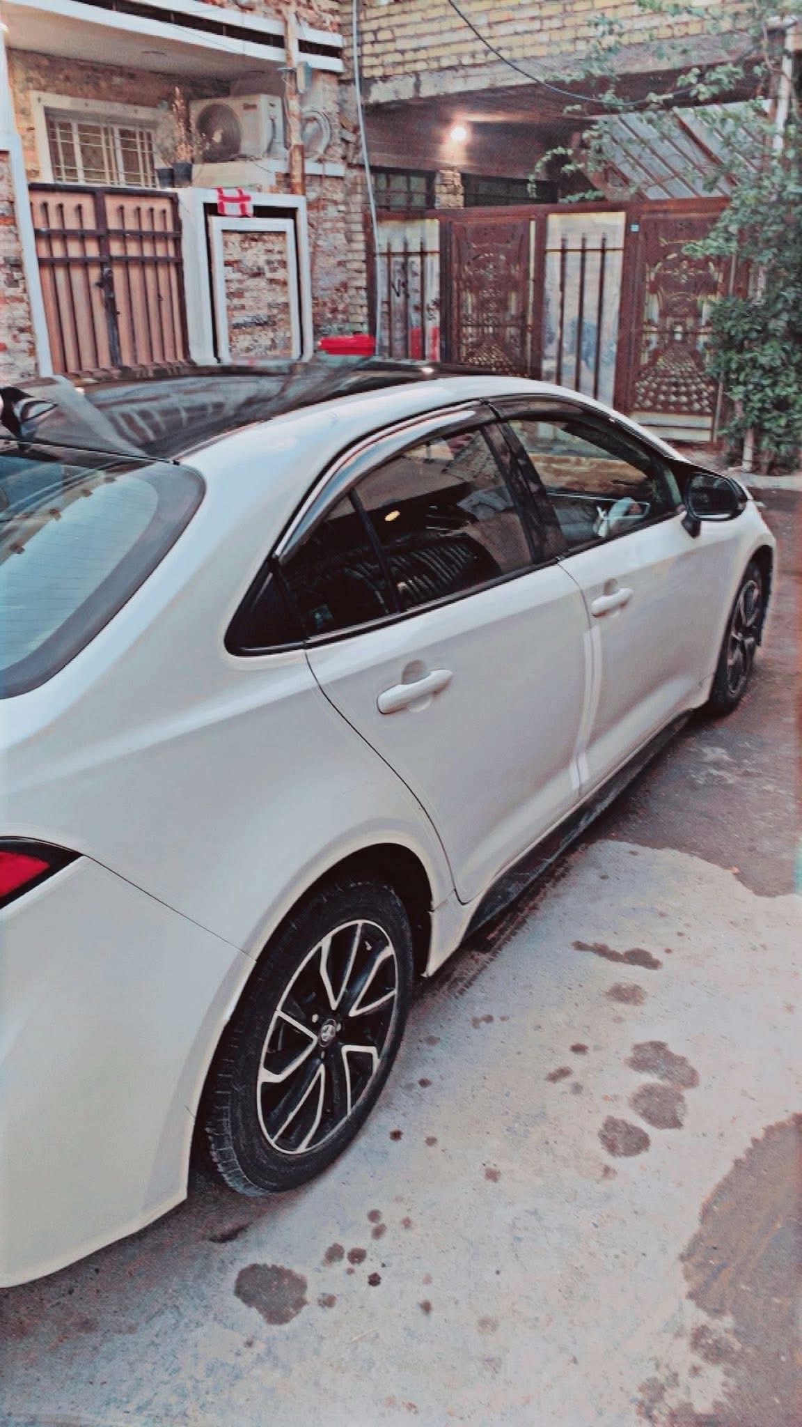 صورة 2