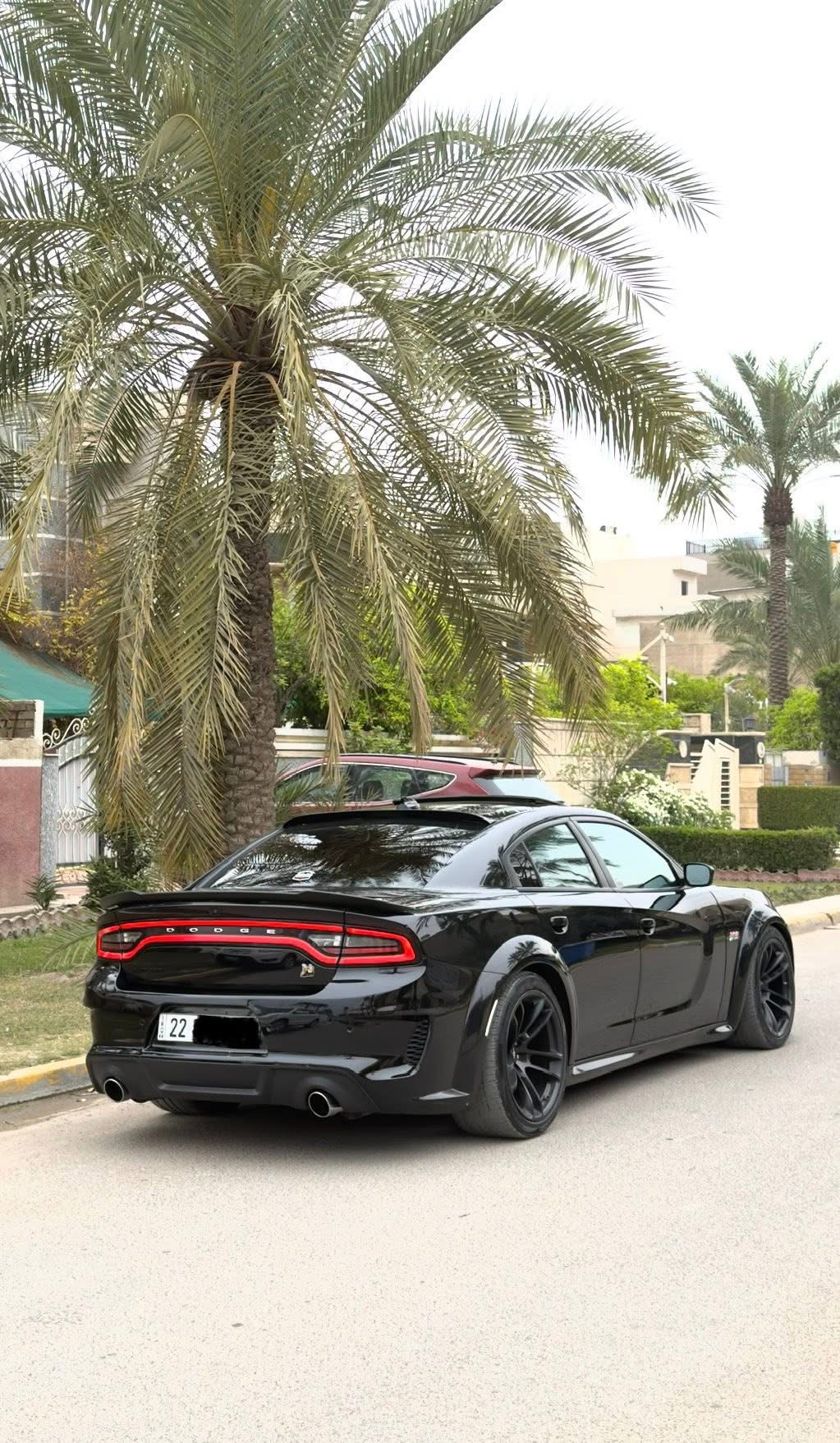 صورة 7