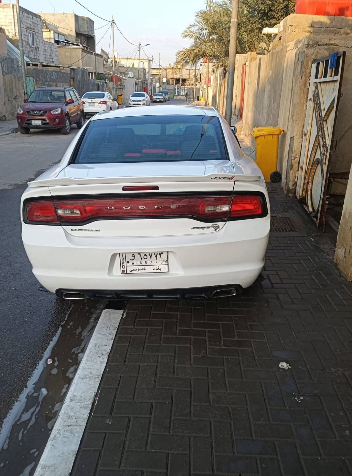 صورة 6