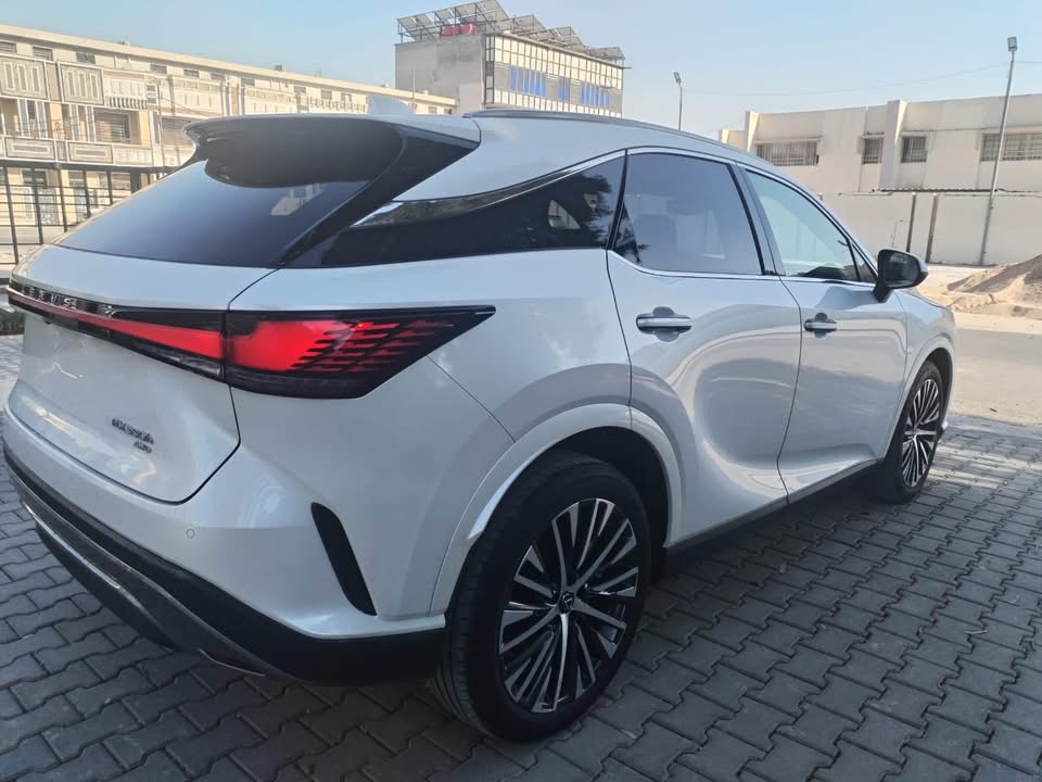 صورة 4