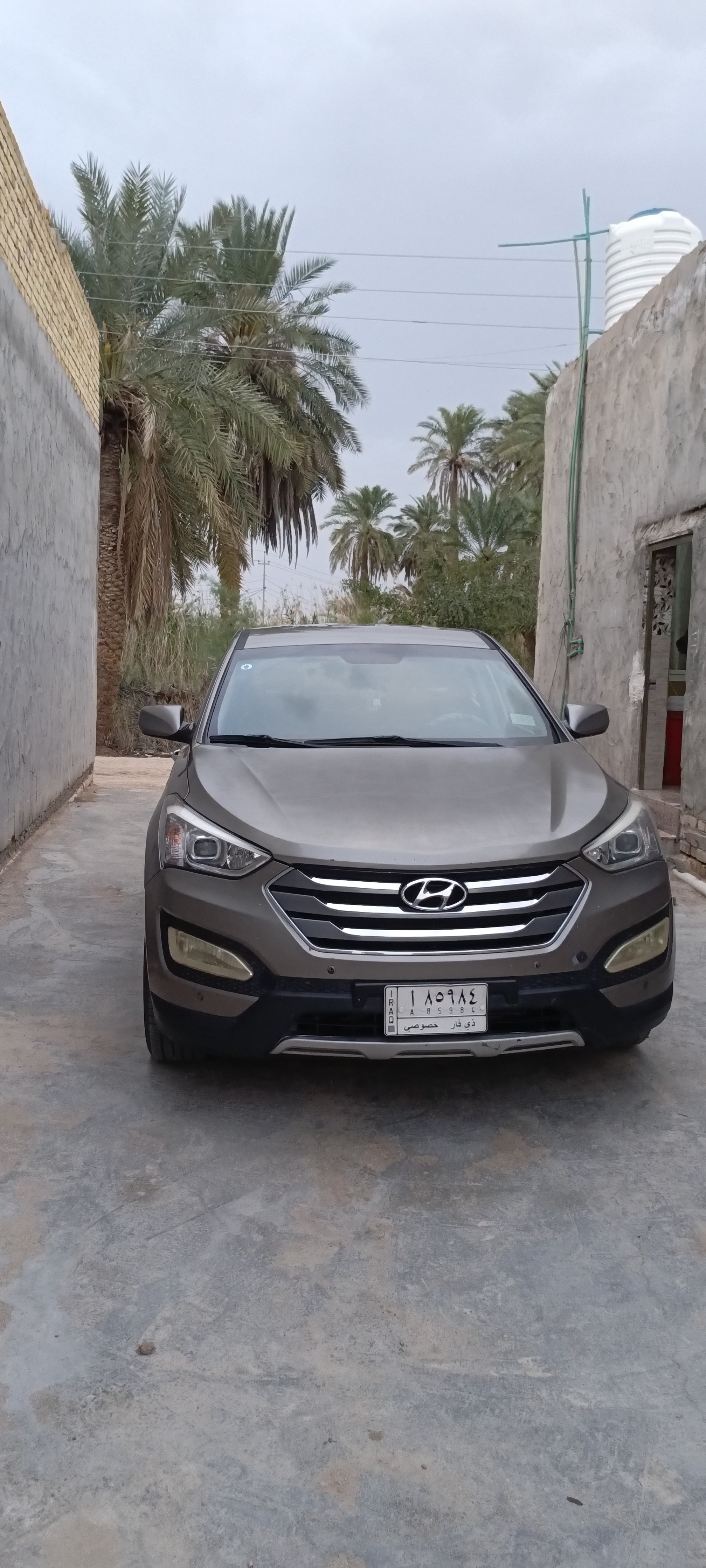 صورة 3
