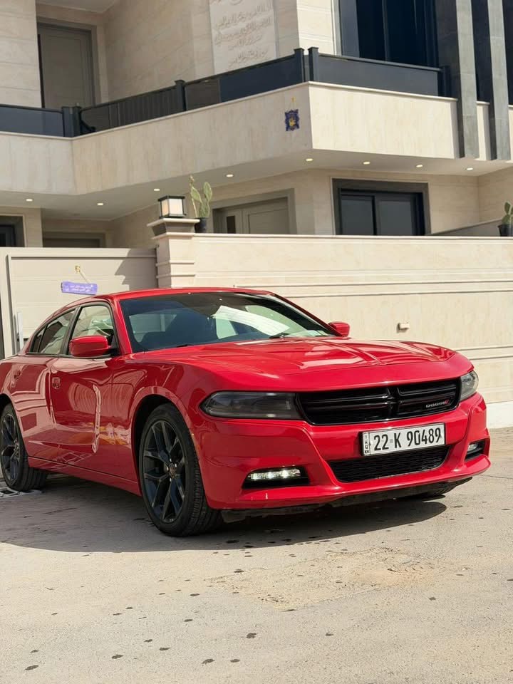 جارجر طماطي