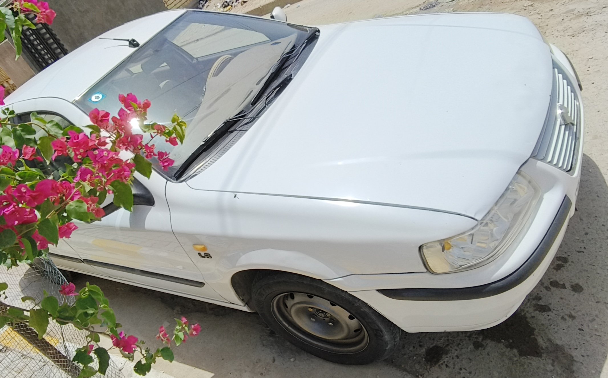 صورة 2