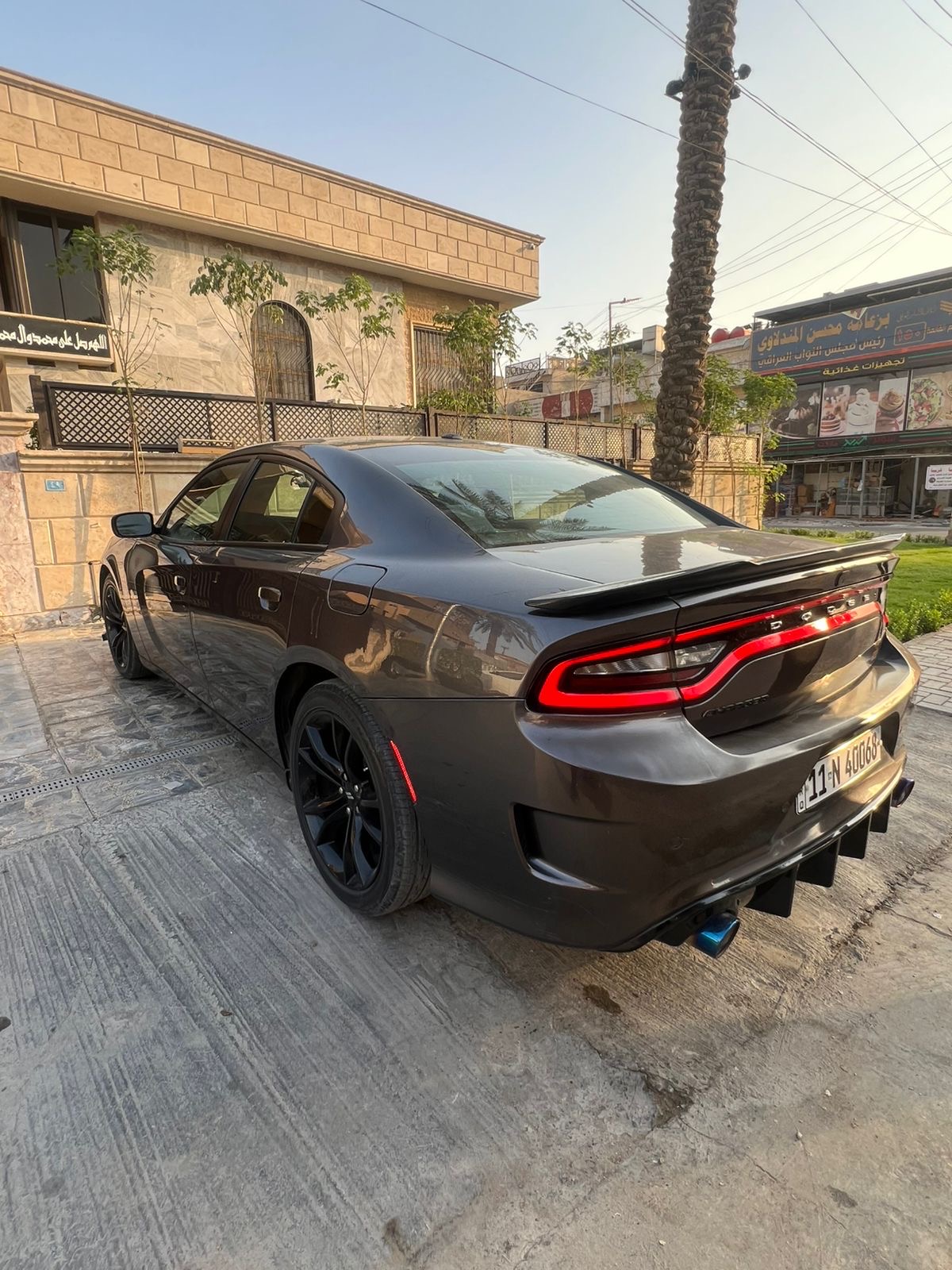 بغداد زيونه