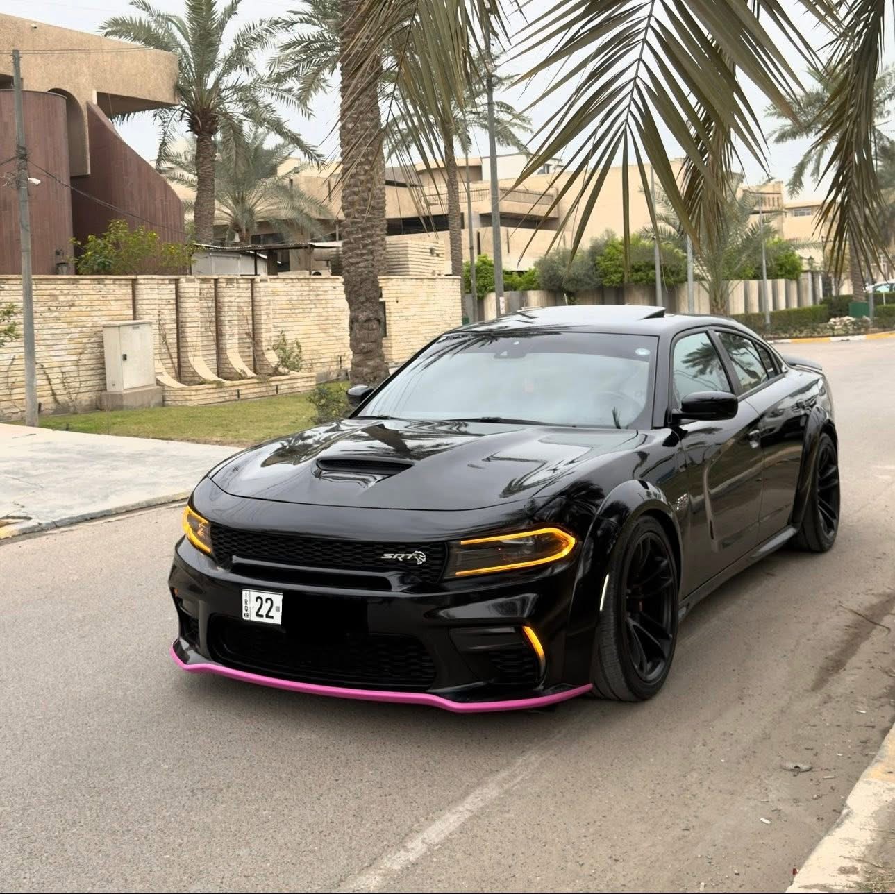 صورة 5
