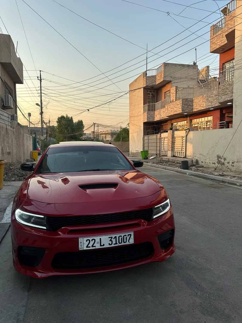 صورة 2